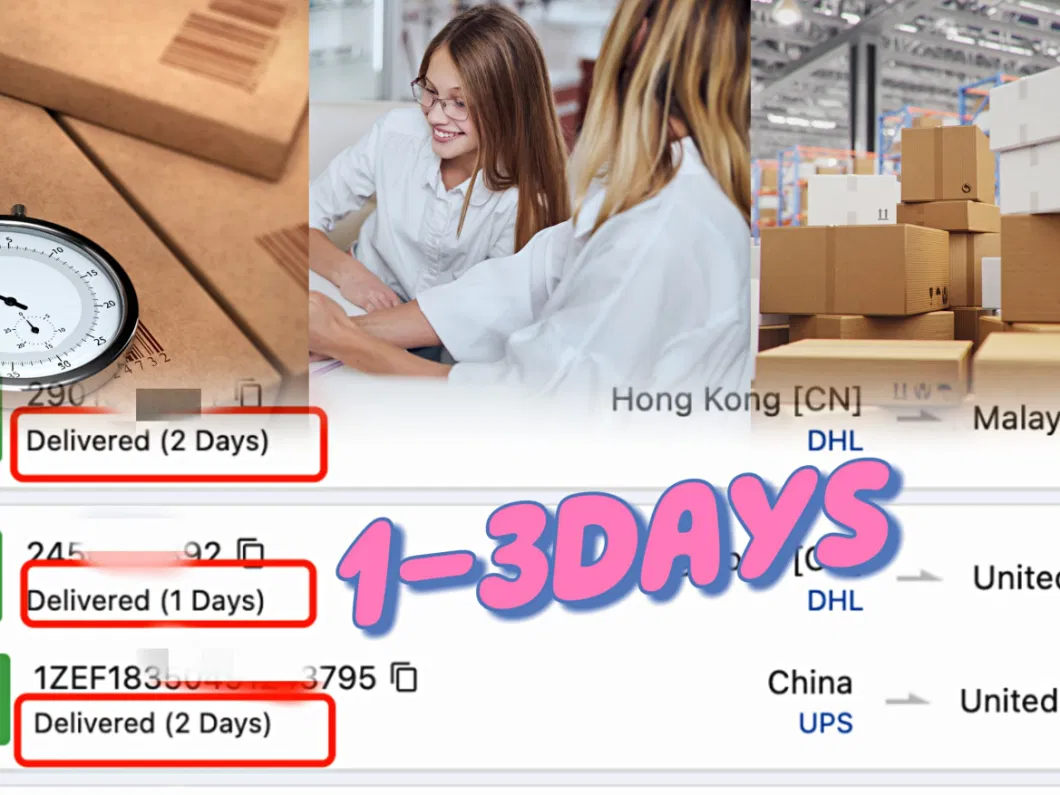 The Cheapest Logistics Transportation Amazon Express Cargo Door to Door Service From China to USA/Canada /Europe/ UK